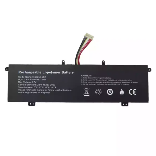 筆記型電腦電池 4567250-2SP
